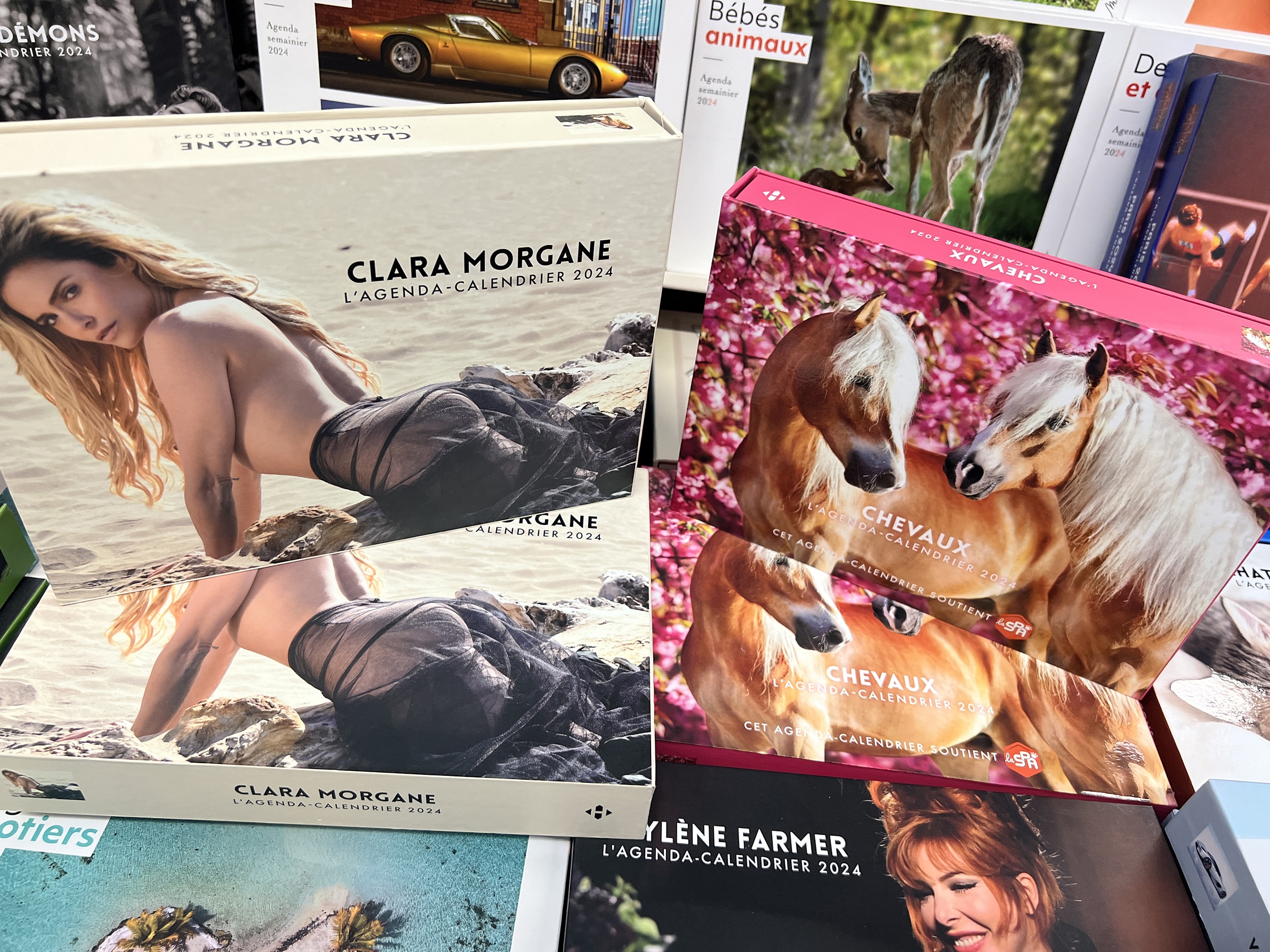 Agenda - Calendrier Clara Morgane 2024 - Clara Morgane - Librairie